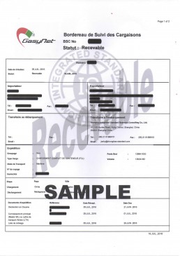 马达加斯加BSC电子货物跟踪单 证书样本